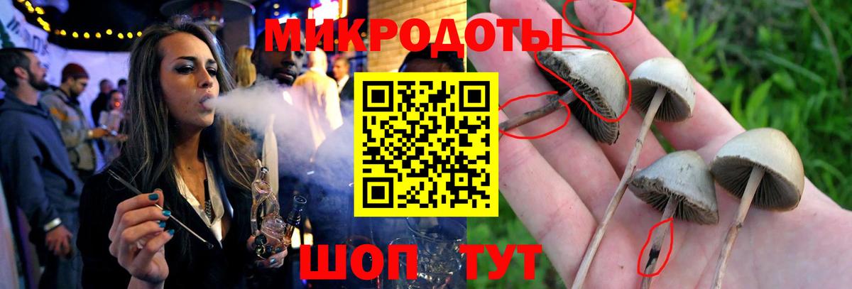 Галлюциногенные грибы Magic Shrooms Малгобек